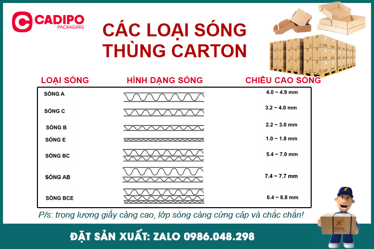 cac loai song thung carton 2
